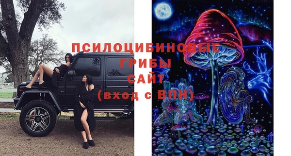 каннабис Верея
