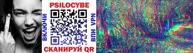 Купить где  Краснозаводск  Псилоцибиновые грибы мицелий 